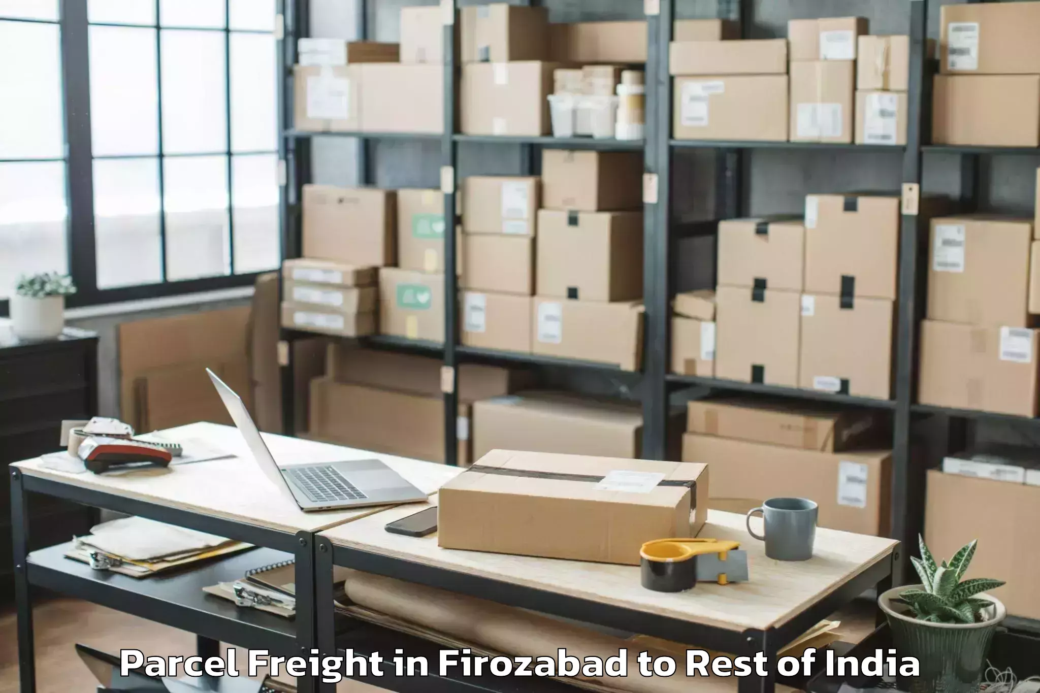 Book Firozabad to Jakhanian Parcel Freight Online